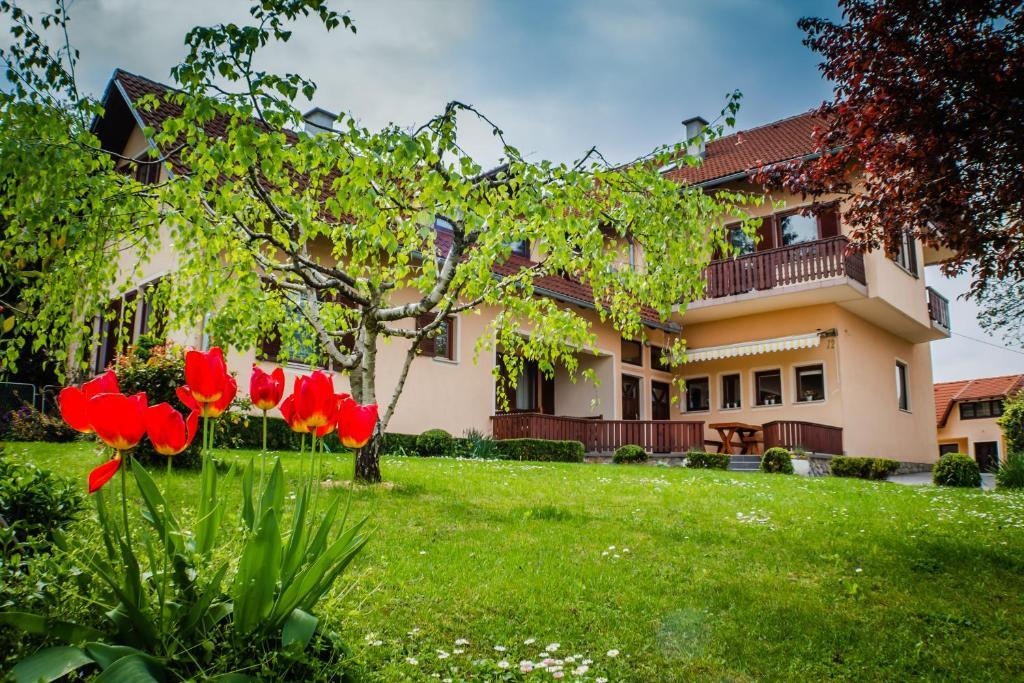 Apartments And Rooms Stefanac Слуни Екстериор снимка